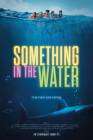 Something In The Water poster